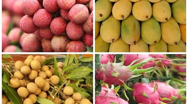 Fruit and vegetable exports drop 5.8 per cent in eight-month period