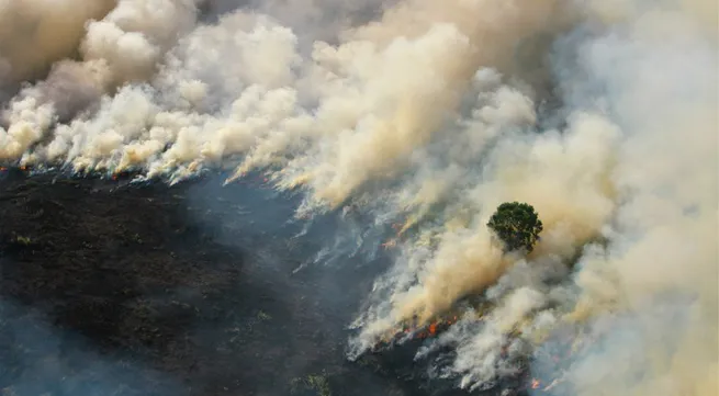 Haze blankets Southeast Asian countries