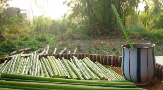 Limiting plastic waste in tourism activities