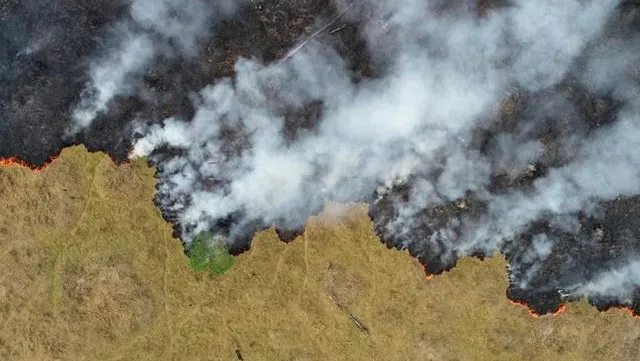 Brazil says open to aid for Amazon fires