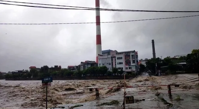 Storm Wipha lands in Quang Ninh, weakens to tropical depression