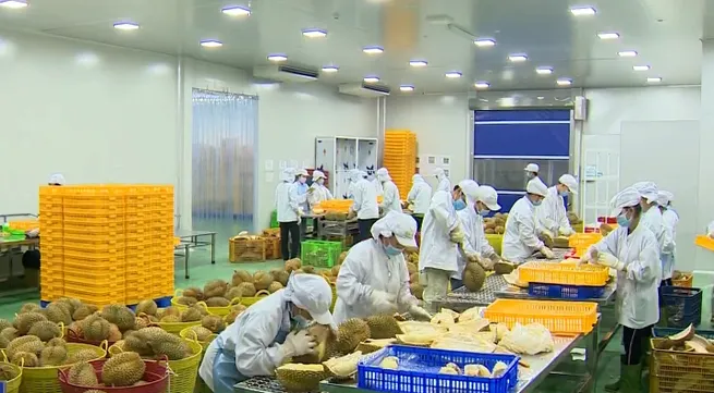 Chinese government changes regulations on imported food labelling from Vietnam