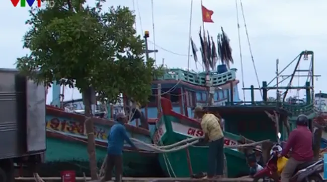 Ca Mau remains vigilant for typhoon Pabuk