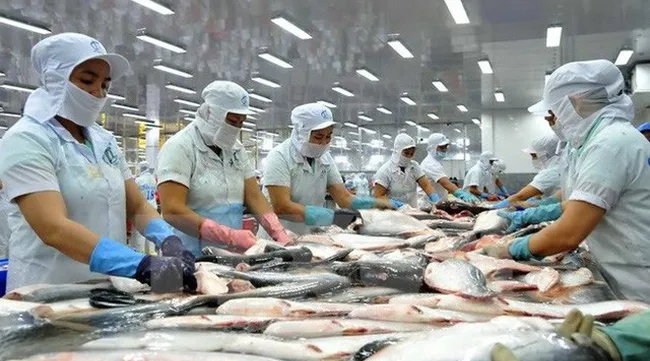 Vietnam's tra fish exports exceed US$2 bln for the first time