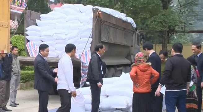 Rice support given to poor households to celebrate Tet