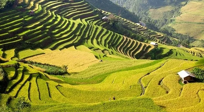 Eight northwestern provinces enhance tourism connectivity