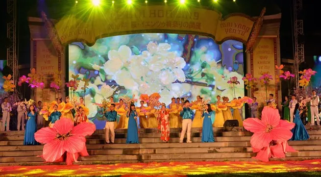 Cherry blossom festival opens in Quang Ninh