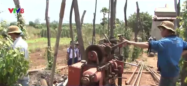 Gia Lai province struggles with droughts