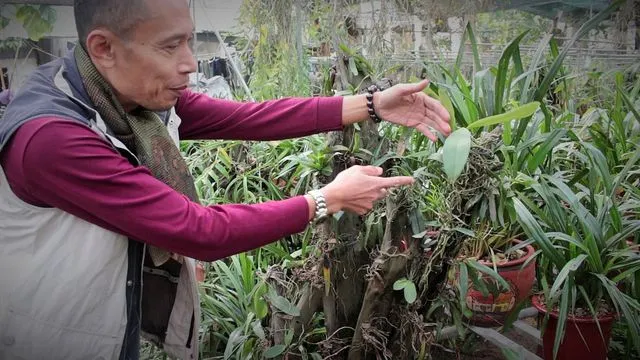 Meet with a collector dubbed as the King of Orchids