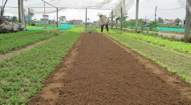 Central province approves hi-tech farms