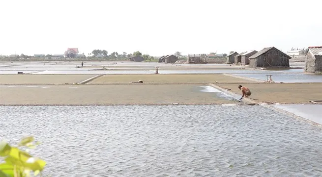 Bến Tre salt farmers his by unexpected rains