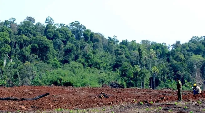 Community-based forest management the way forward