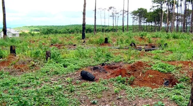 Warning given to officials of Đắk Nông People’s Committee