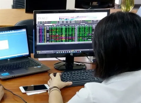 Shares mixed as Tết lull begins