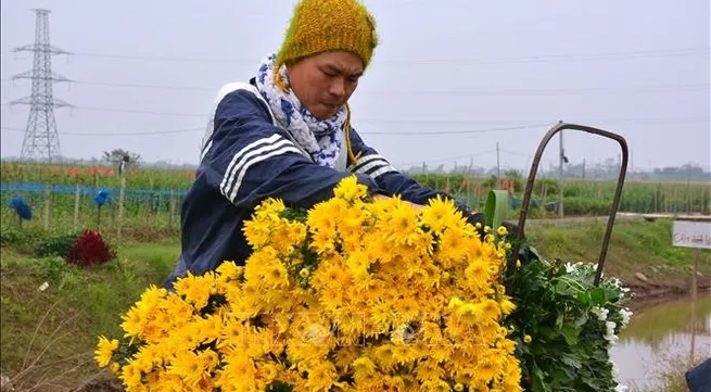 Flower village in full bloom for New Year