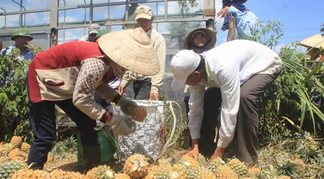 Climate-smart agriculture key to the economic growth