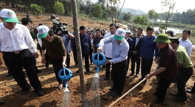 Party, State leader launches Tết tree planting festival in Yên Bái