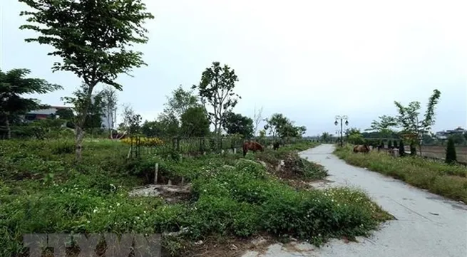 Cần Thơ plans first green infrastructure project