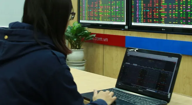 VN stocks rebound on purchasing