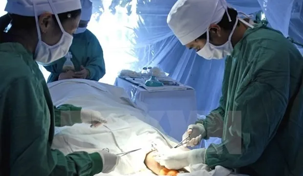 Biomedical research has potential to produce new Vietnamese drugs