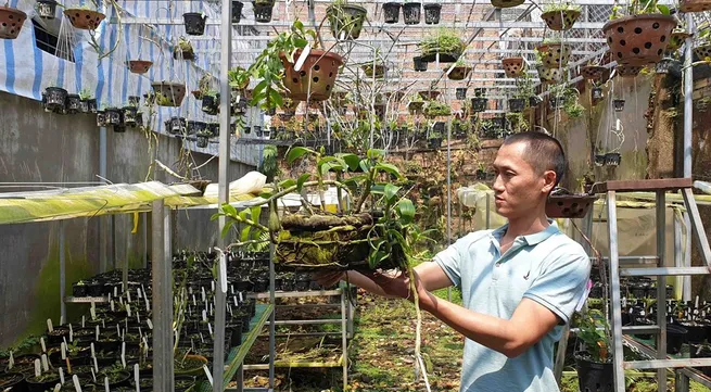 The flower trade is blooming tough