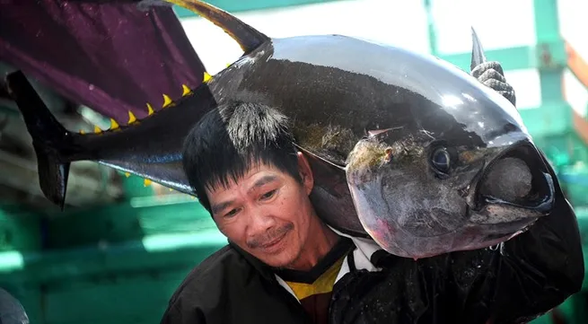 Practical reforms required for better agriculture: Gov't