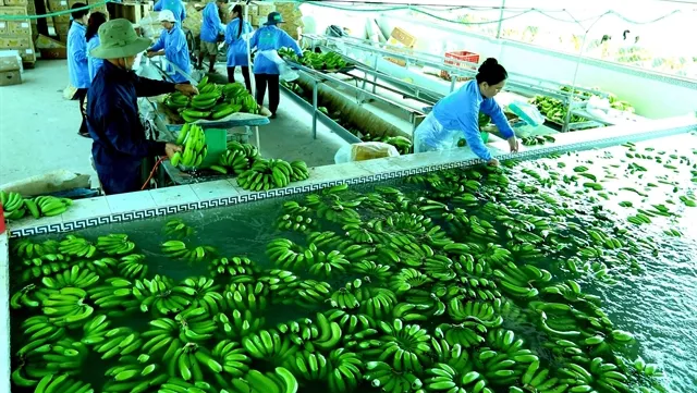 Ministry releases 2018 import-export report