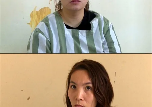 Two women arrested for illegally taking would-be surrogate mothers to China