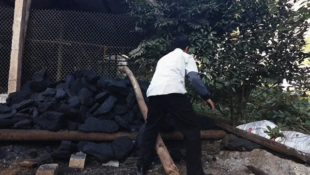 Ministry tells coal enterprises to report on charcoal theft