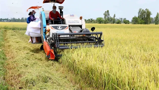 Global shocks pose threats to VN economy: VEPR