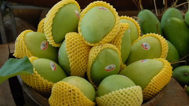 First Vietnamese mango exported to the US