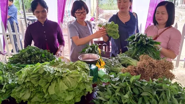 Ethnic women find success growing organic vegetables