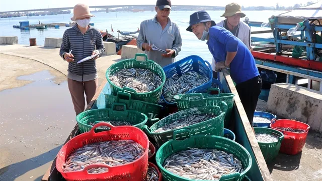 Formosa compensation to be spent on fishing logistics and aquatic ecosystem regeneration