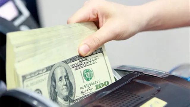 Central bank buys $8.35 billion to build foreign reserves