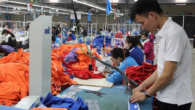 VN poised to become manufacturer of established global brands