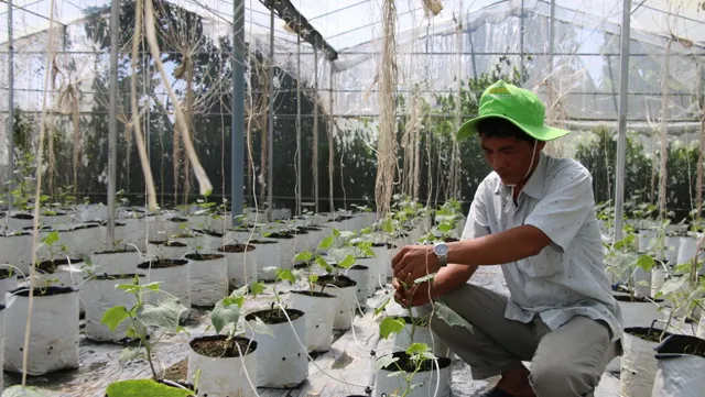 Mekong farmers prosper with organic farming