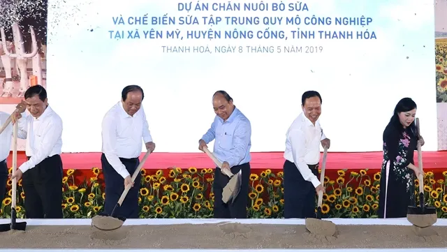 Thanh Hóa to have $162.6 million dairy cow farm 