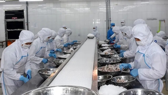 Seafood processing companies lacks skilled labourers