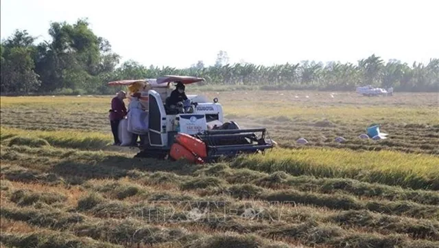 Việt Nam, China look to increase rice trade co-operation