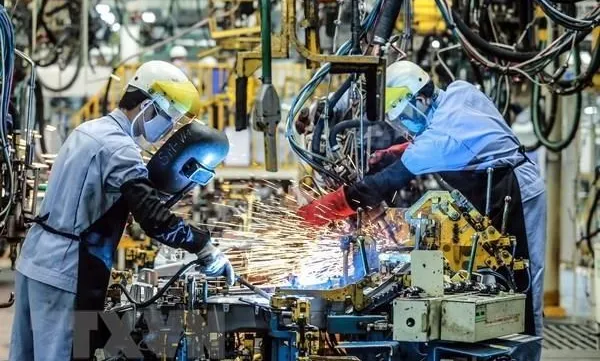 Fitch revises Việt Nam's outlook to positive; affirms 'BB'