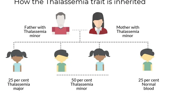 Pre-marriage blood testing can stop inherited blood disorder