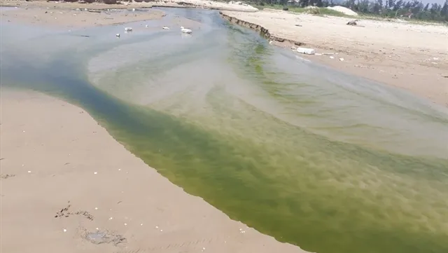 Hà Tĩnh communities polluted by waste from shrimp ponds