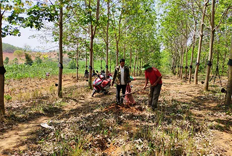 Kon Tum District reduces poverty by supporting agriculture, business