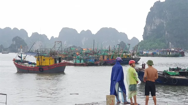 Typhoon WIPHA brings heavy rain, landslides, flash floods to the north