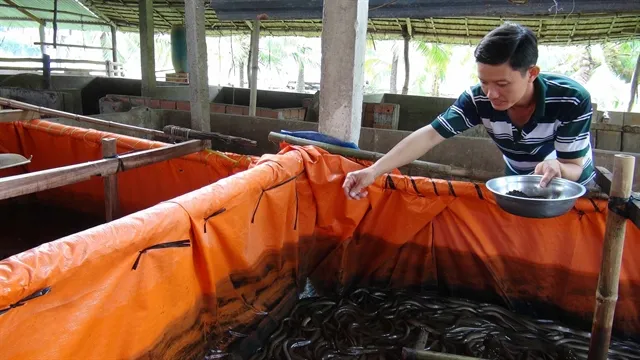 Super–intensive farming of white-legged shrimp brings high profits