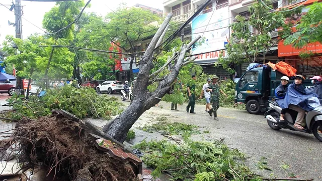 Typhoon Wypha weakens to tropical depression, bringing widespread rains across the north