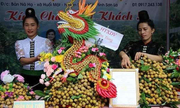 Sơn La exports 60 tonnes of locally-grown longan