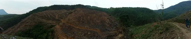 Forest restoration set to conserve grey-shanked doucs in Quảng Nam