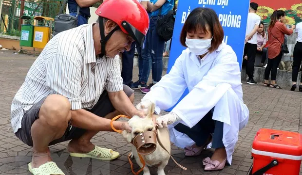 North Việt Nam reports highest rabies deaths