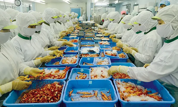 Japanese firm to build ingredient plant in Cần Thơ